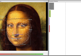 micro y macro expresiones